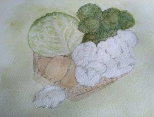 Lynne, veg, watercolour.